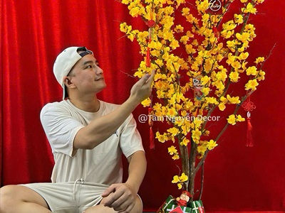 Cây Mai Vàng thân gỗ Cao 130 - 140cm CAYCANH-TET-02